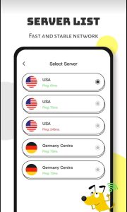 دانلود وی پی ان جدید سگ Pico VPN