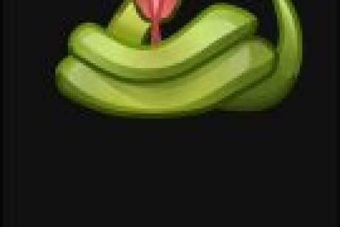 دانلود فیلتر شکن قوی و سریع مار Snake VPN