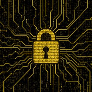 Sakine VPN برای سیم کارت ایرانسل